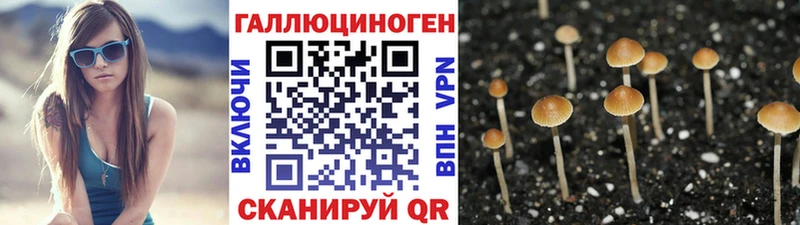 мега ссылка  Артёмовск  Псилоцибиновые грибы Magic Shrooms 